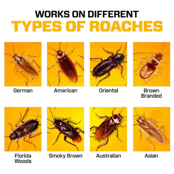 RoachShield Natural Gel – Safe & Powerful Cockroach Killer for Kitchens, Bathrooms & Cabinets ( 12 Pcs )