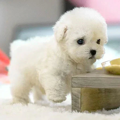 (đ„LAST DAY SALE-90% OFFđ) My Realistic Robot Puppy đ¶đ