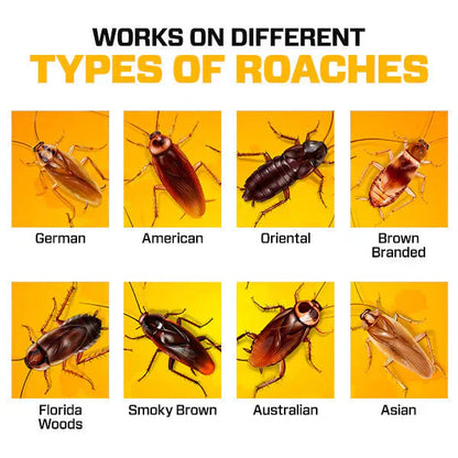 RoachShield Natural Gel – Safe & Powerful Cockroach Killer for Kitchens, Bathrooms & Cabinets ( 12 Pcs )